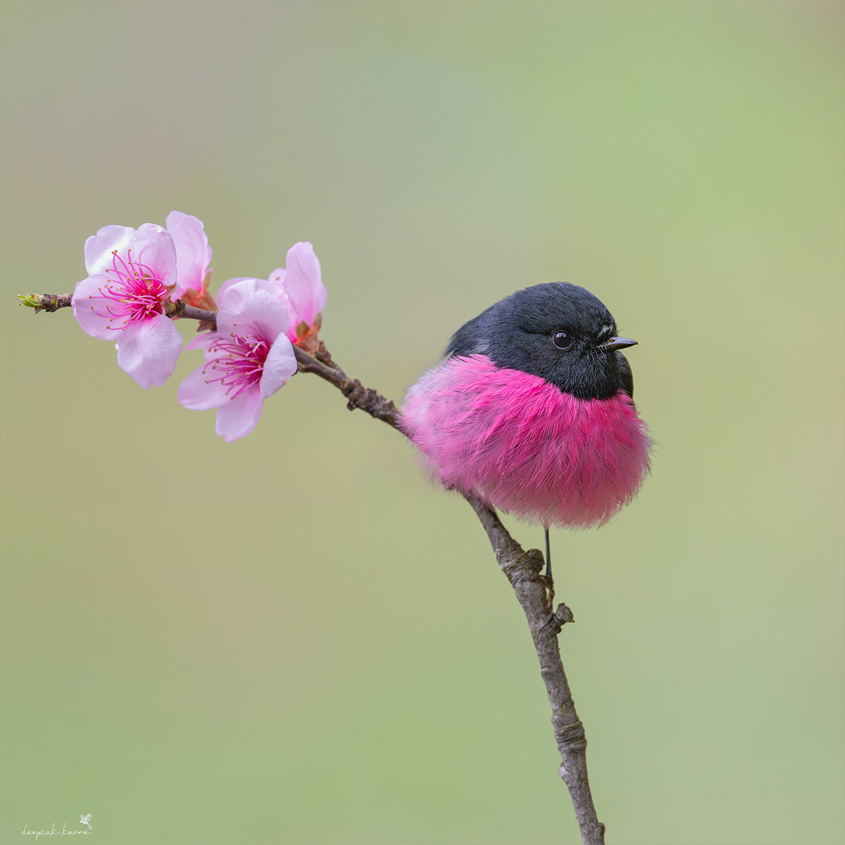 Epoch Times Photo