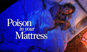 What Scientists Found in Your Bed