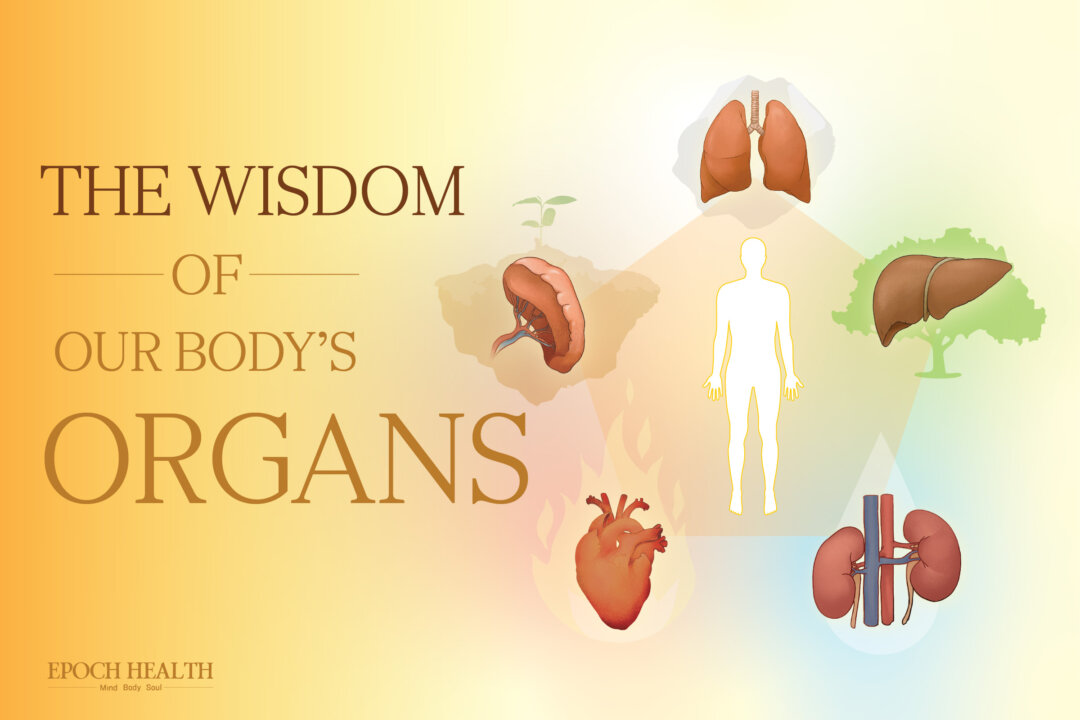 The Wisdom of Our Body’s Organs