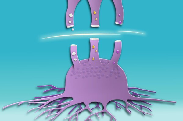 Beyond Sugar: Cancer’s Use of Alternative Fuels to Grow, and How to Stop It