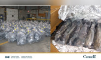 Canada Border Agency Seizes 2,700 Kilos of Cannabis Destined for UK