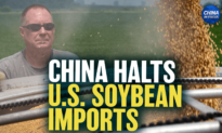China Halts US Soybean Imports Despite Trade Deal