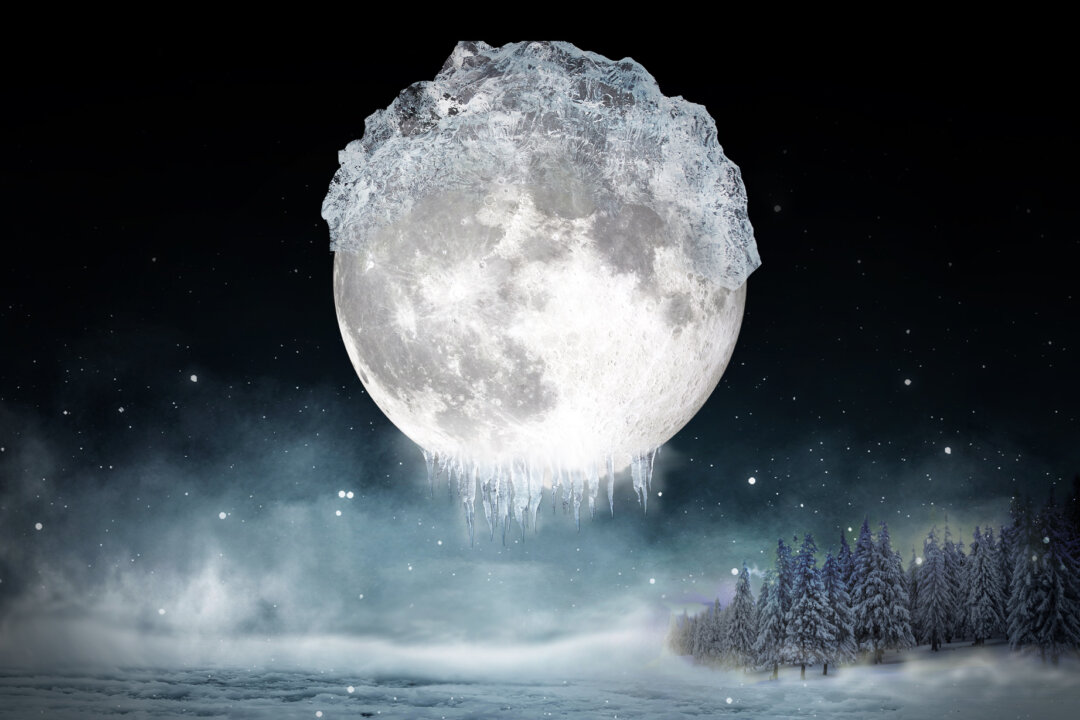 The Full ‘Cold Moon’ Will Rise to Extreme Heights Unrivaled Until 2042—Here’s Why
