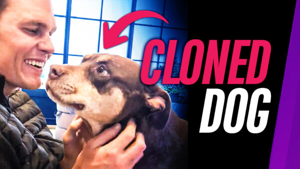 Tom Brady Says His Dog is a Clone of His Previous Dog | NTD Primetime