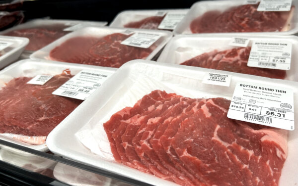 NTD Evening News Full Broadcast (Nov. 14)