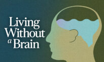 The Man Who Lived Without a Brain