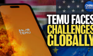 Temu’s Parent Company Faces Challenges From US, EU, and at Home