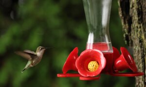 Christmas Gift Ideas Part 1