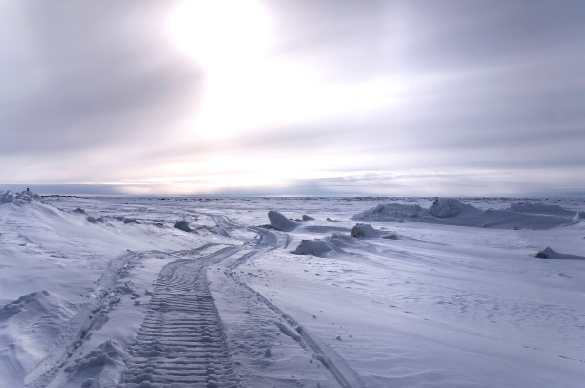 Snow mobile tracks in Utqiagvik, Alaska, in a file photo. (Shutterstock)