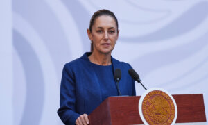 Mexico Reports Positive Conversation With Trump on Security, Drug Trafficking