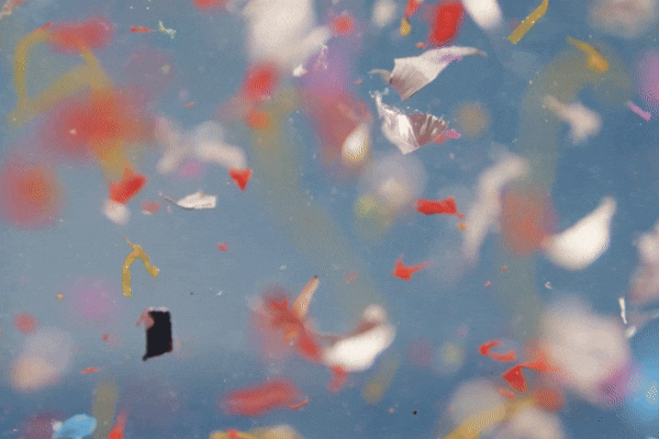 You’re Surrounded by Microplastics, but These Habits Can Help Reduce Exposure