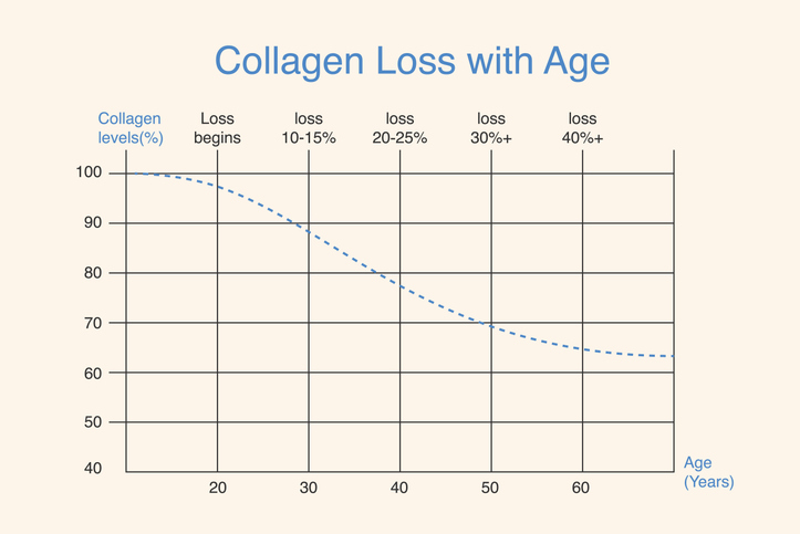 Collagen loss chart in human skin across different ages. Concept illustration of age related collagen reduction in skin layers.