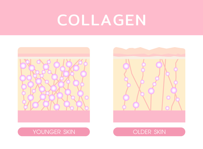 Collagen, Concept skincare, collagen serum skin vector