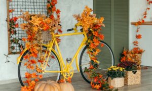 How to Take the Family Stress out of Thanksgiving