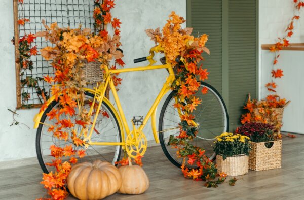 How to Take the Family Stress out of Thanksgiving