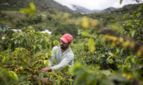 Trump Removes Tariffs on Brazilian Beef and Coffee Imports