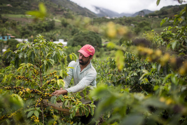 Coffee Industry Makes Plea to Trump Administration