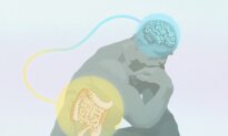 The Mystery of Intuition: Where Gut Feelings Really Come From