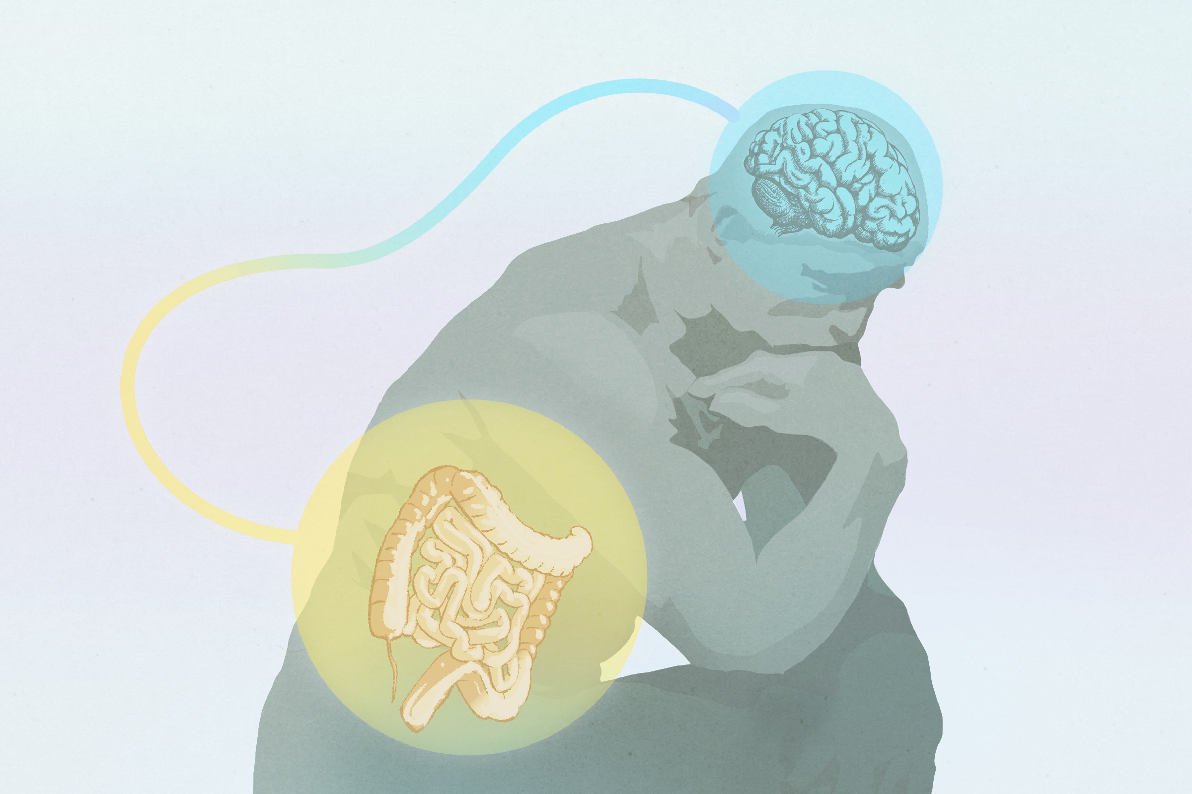 The Mystery of Intuition: Where Gut Feelings Really Come From