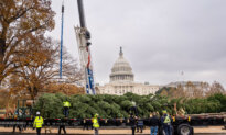 America in Photos: Capitol Christmas Tree, Trump Meets Saudi Prince, and Sooner Schooner Native Driver