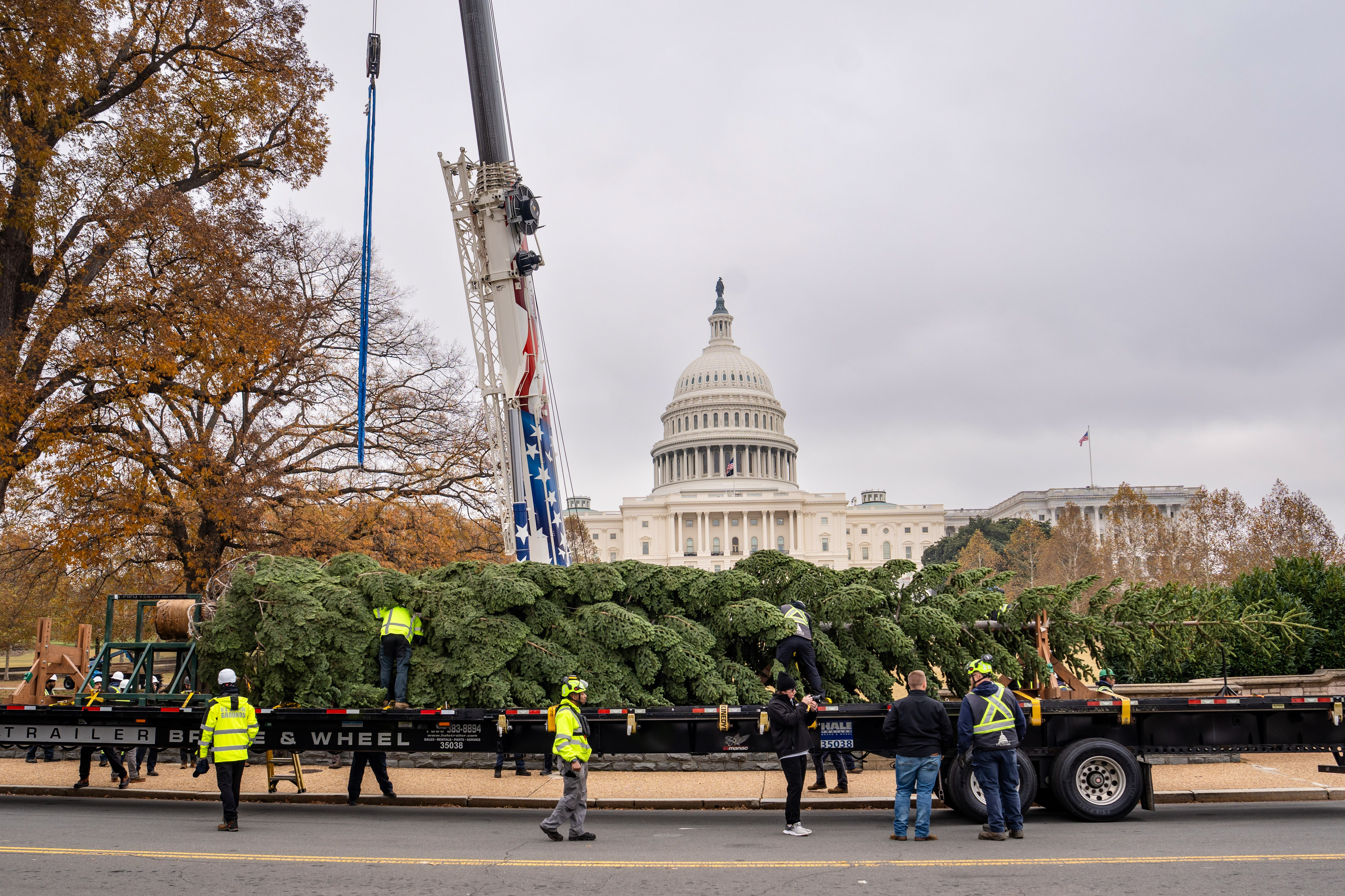 America in Photos: Capitol Christmas Tree, Trump Meets Saudi Prince, and Sooner Schooner Native Driver