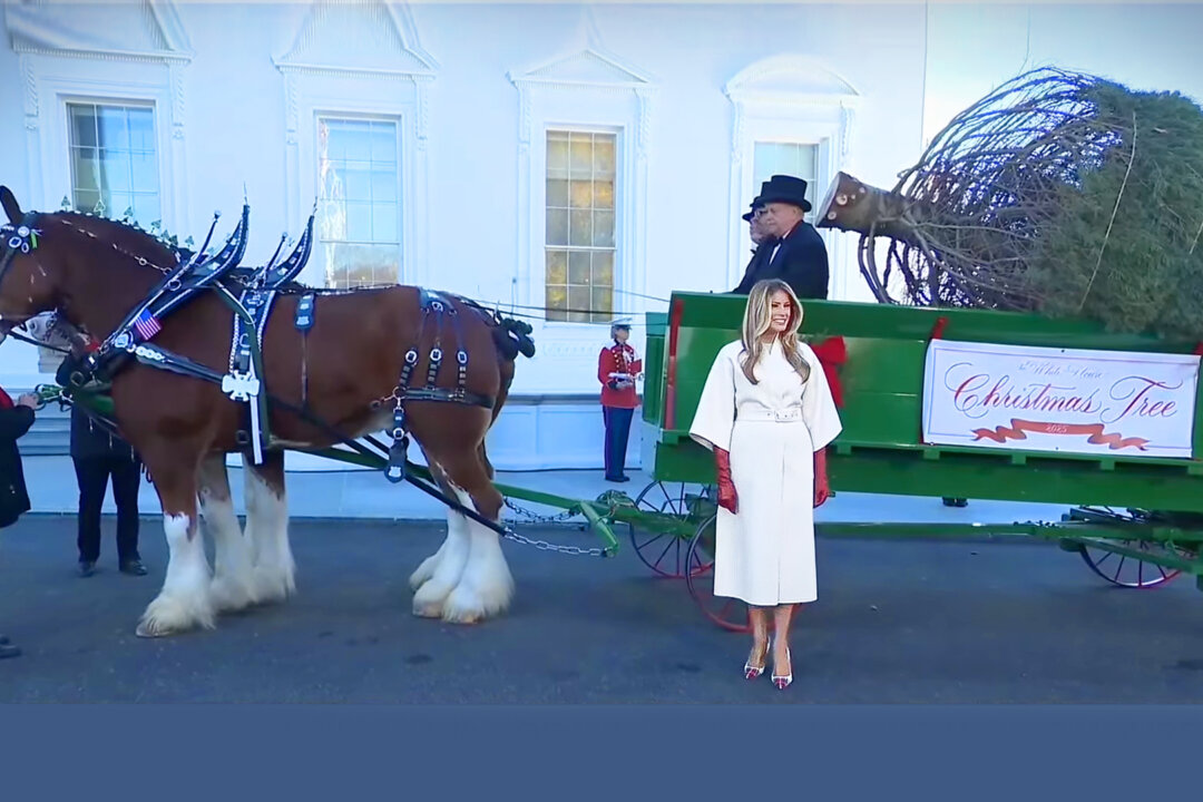 First Lady to Welcome the 2025 White House Christmas Tree