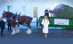 First Lady Welcomes the 2025 White House Christmas Tree