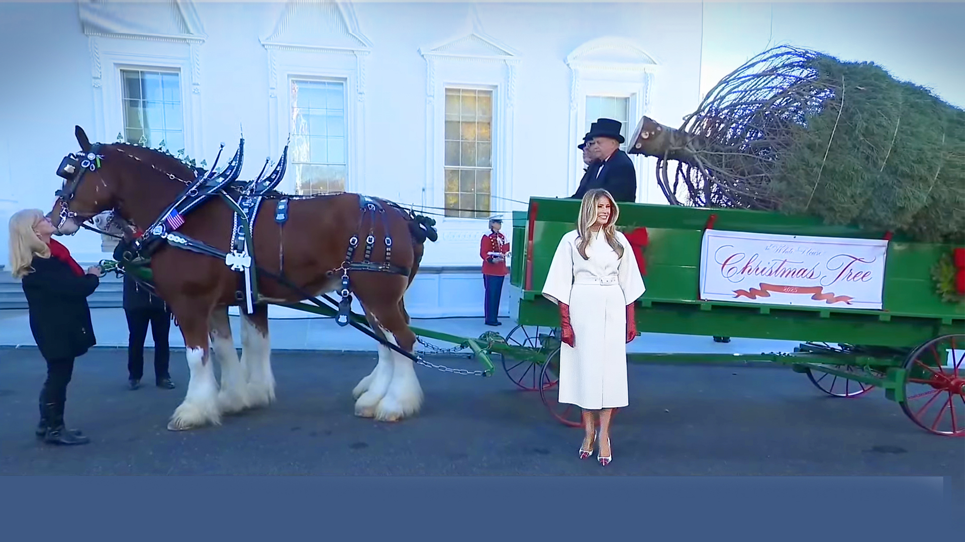 First Lady Welcomes the 2025 White House Christmas Tree | EpochTV