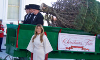 First Lady Receives Official White House Christmas Tree
