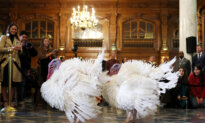 Day in Photos: Thanksgiving Turkeys, Olympic Flame Rehearsal, Explosion in Pakistan