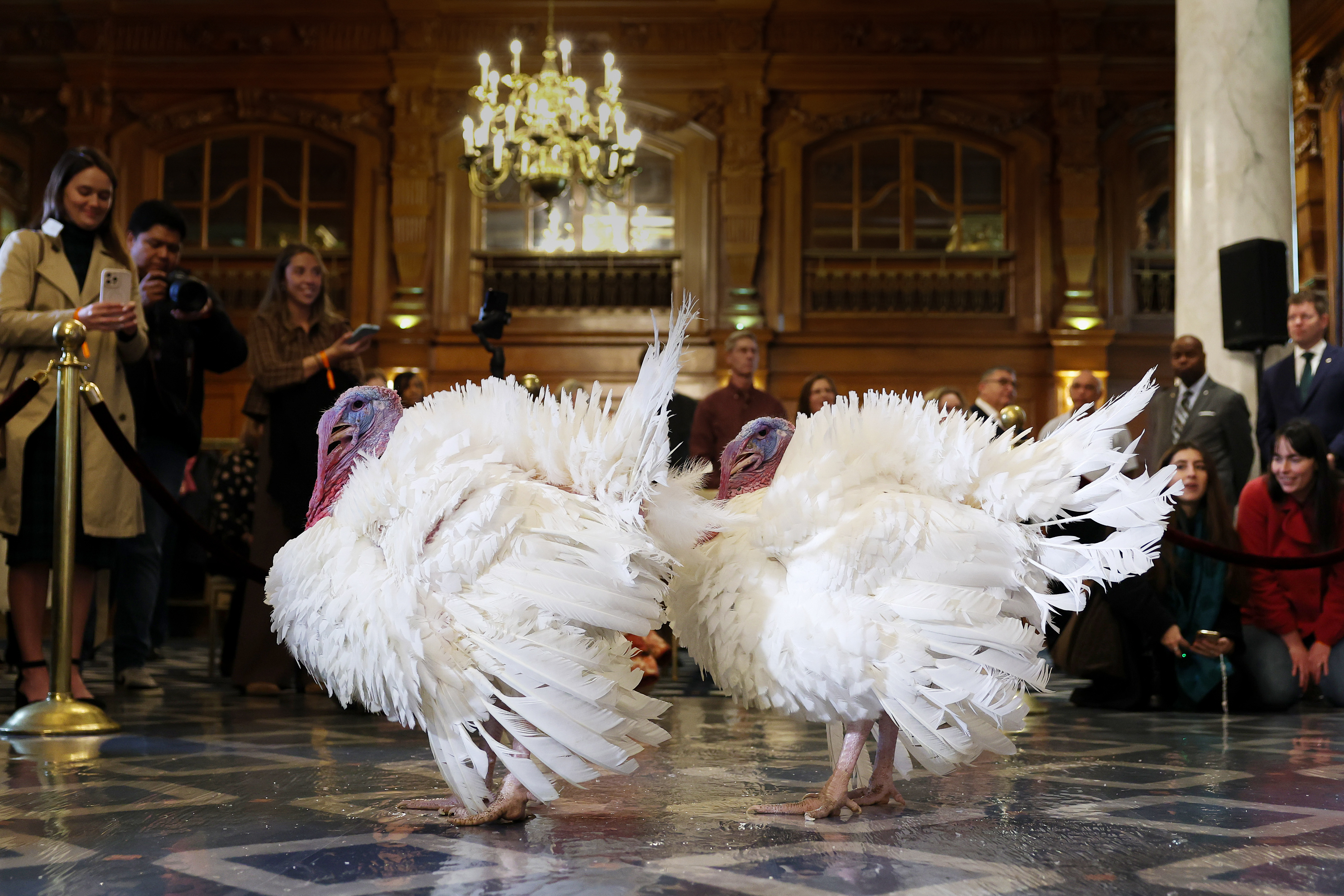 Day in Photos: Thanksgiving Turkeys, Olympic Flame Rehearsal, Explosion in Pakistan