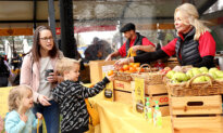 Inflation Rises Again, Crushing Hopes of Christmas Rate Cut
