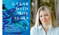 ‘A Year With the Seals’: Clowns of the Marine World