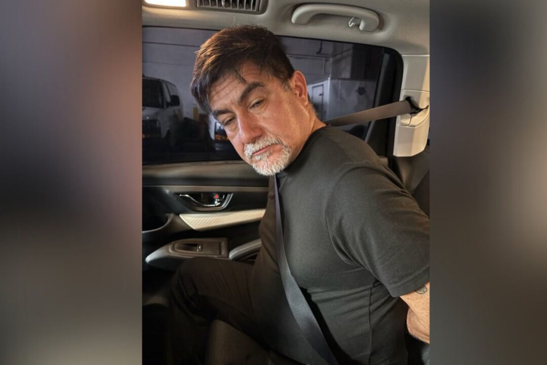 California Union Leader Pleads Not Guilty to Obstructing ICE in Los Angeles