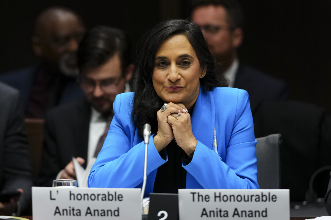 MPs Push Minister Anand for Foreign Agent Registry Timeline, Say Interference a Major Concern