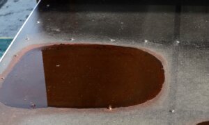 Find Leak and Fix Flat Roof