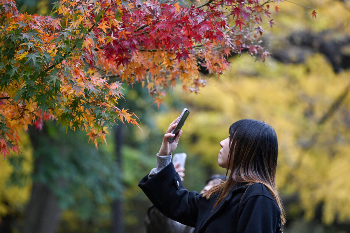 A woman takes photographs of autumn leaves in Hibiya park in Tokyo on Dec. 2, 2025. (Greg Baker/AFP via Getty Images)