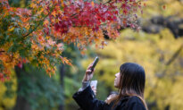 Foreign Visitor Numbers to Japan Up 10 Percent in November, Despite China Travel Boycott