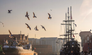 Where to Visit in 2026