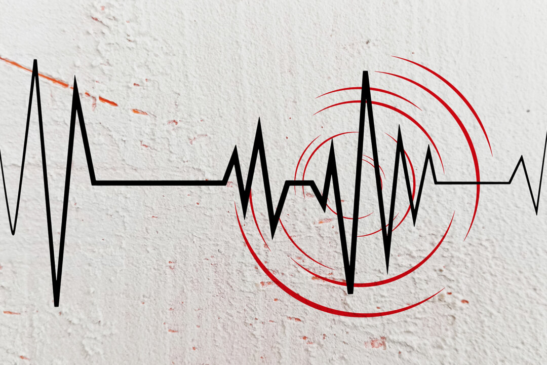 Shake, Rattle, and Hold: Earthquake-Resistant Home Upgrades