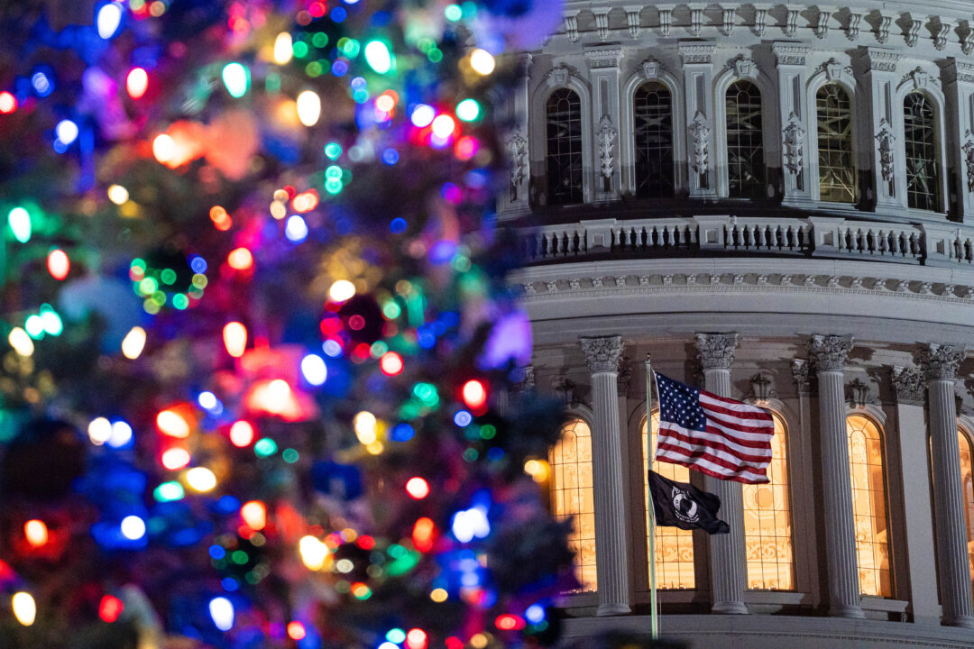 LIVE NOW: War Secretary Hosts Pentagon Christmas Tree Lighting