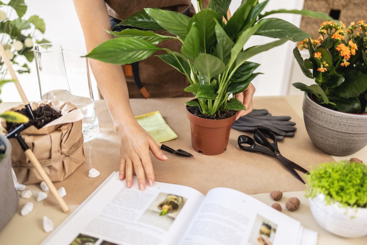 Books are a great winter gift for a gardener. (ganjalex/Shutterstock)