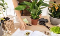 Cozy Up With Great Gardening Books