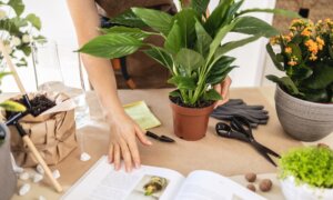 Cozy Up With Great Gardening Books