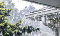 Water, Water Everywhere—But Not a Drop Inside