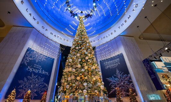 Taking the Kids: 16+ Ways for Holiday Cheer Without Busting the Budget