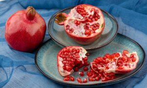 Juicy Fruits: Tropicals and Subtropicals for American Gardens