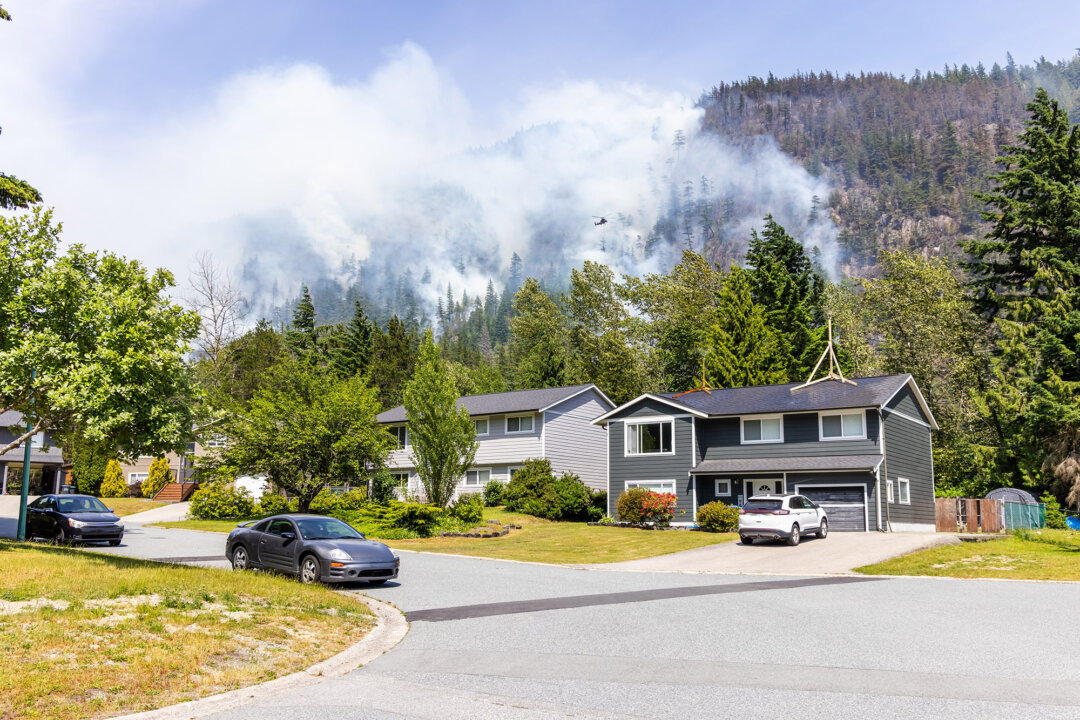 Ember Defenders: Practical Steps to Home Wildfire Protection | The ...
