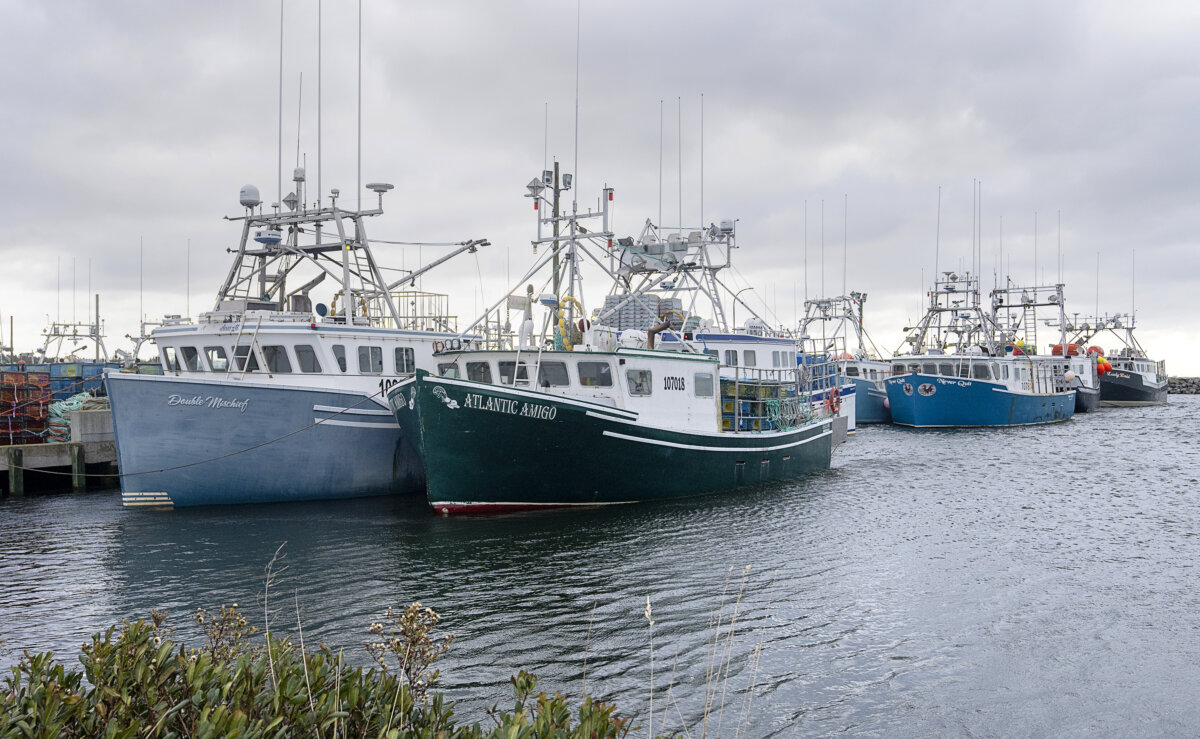 Fishing boats wait for the opening of the lobster season at the wharf in Woods Harbour, N.S., on Nov. 26, 2022. (The Canadian Press/Andrew Vaughan)