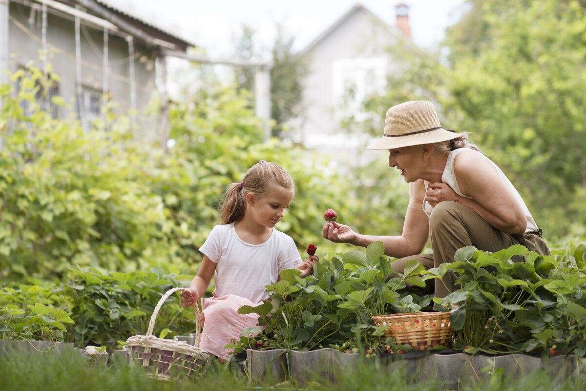 Microclimates exist in every yard, shaping how well plants grow from one spot to the next. (Ulza/Getty Imaages)